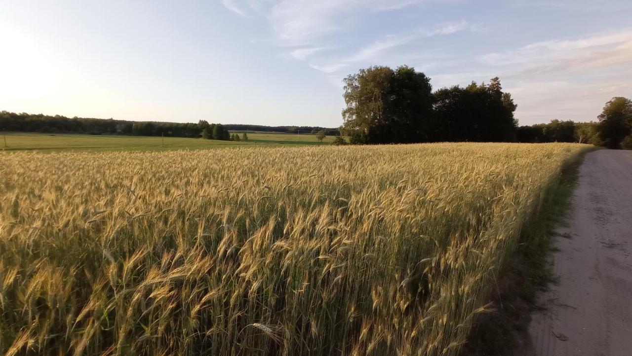 Radunska Ostoja Villa Dziemiany Luaran gambar